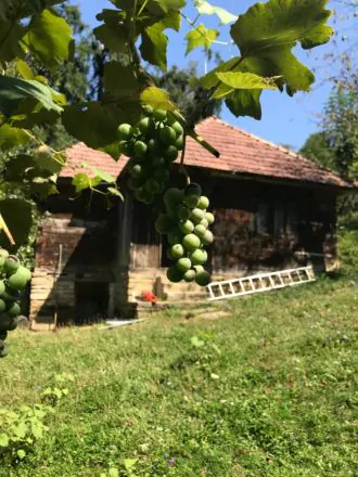 Casa si teren