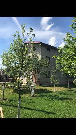 Servus Imobiliare-0