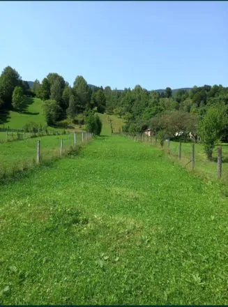 Servus Imobiliare-0