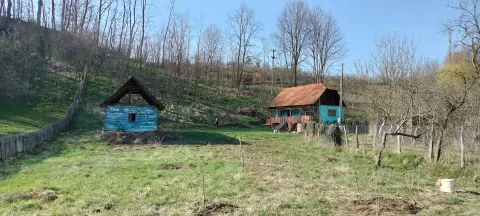 Servus Imobiliare-0