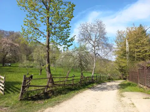 Servus Imobiliare-0