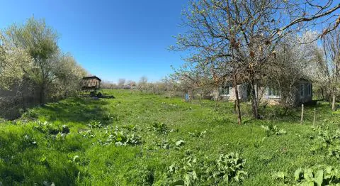 Servus Imobiliare-0