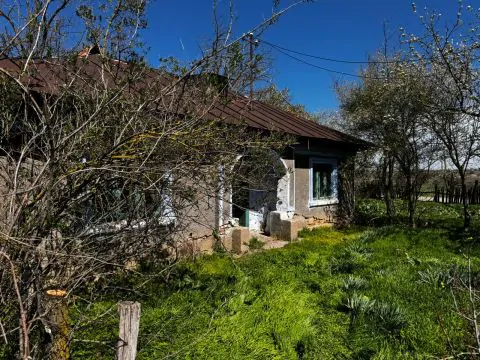 Servus Imobiliare-0