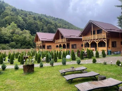 Servus Imobiliare-0