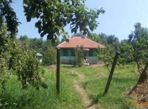 Servus Imobiliare-0