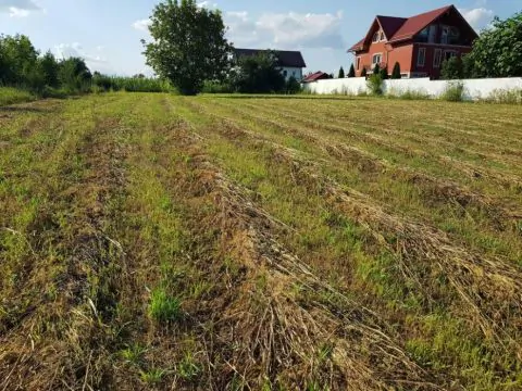 Servus Imobiliare-0