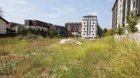 Servus Imobiliare-0