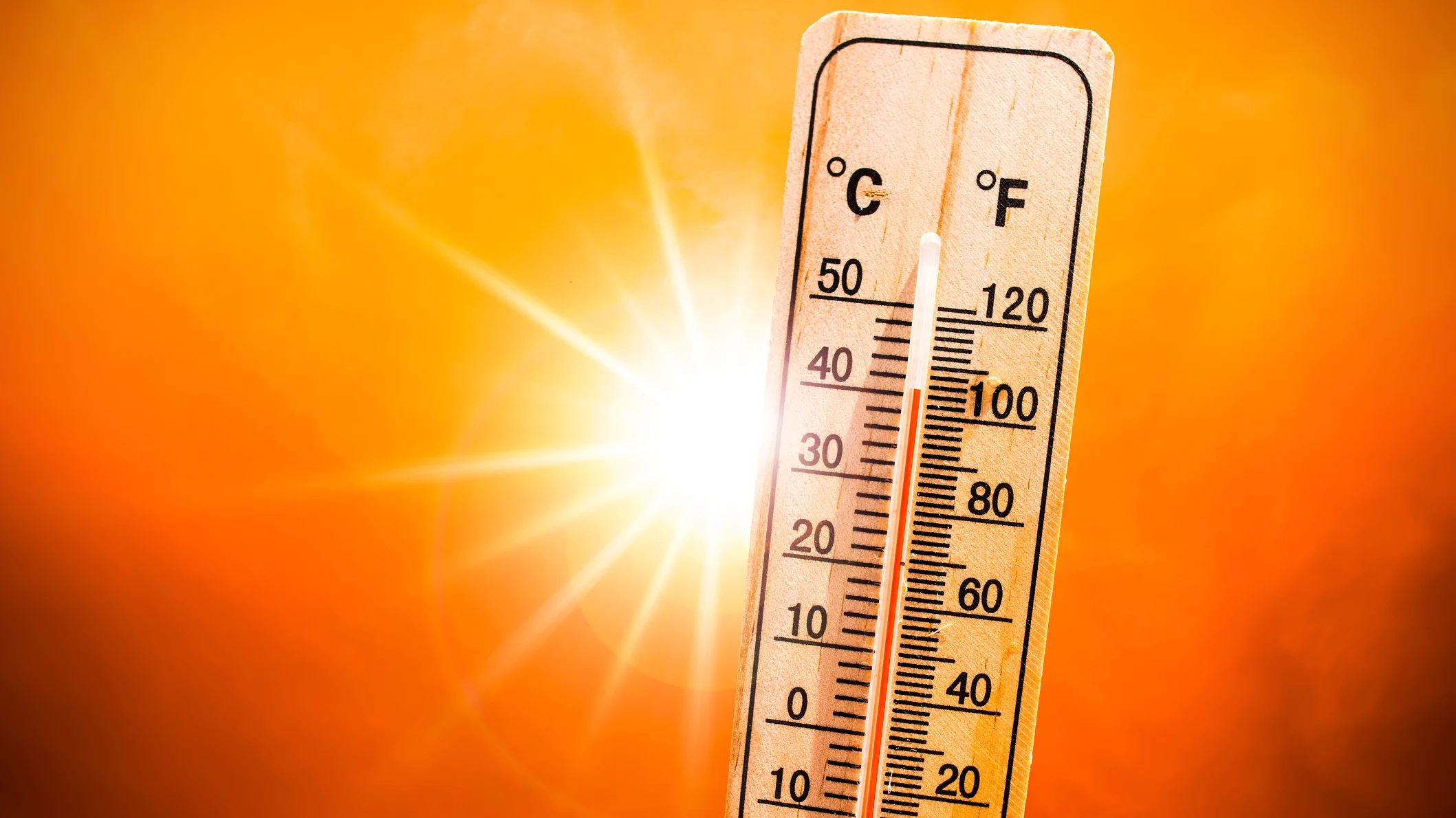 Cum să previi canicula și să reduci temperatura din apartament