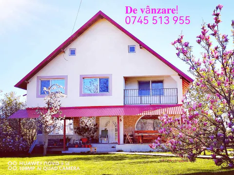 Servus Imobiliare-0